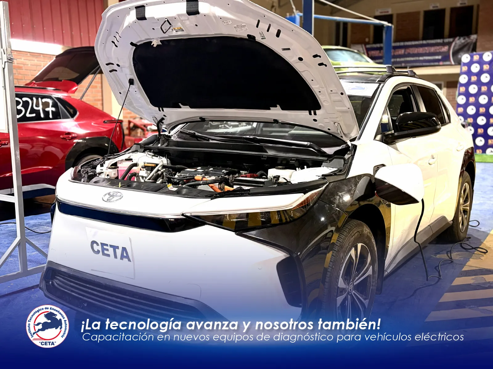 Imagen Sección
